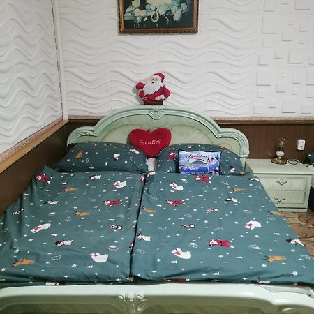Edit Vendeghaz Tiszaújváros Cameră foto